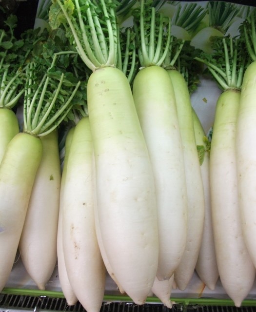 Daikon radish