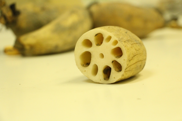 Renkon/Lotus Root