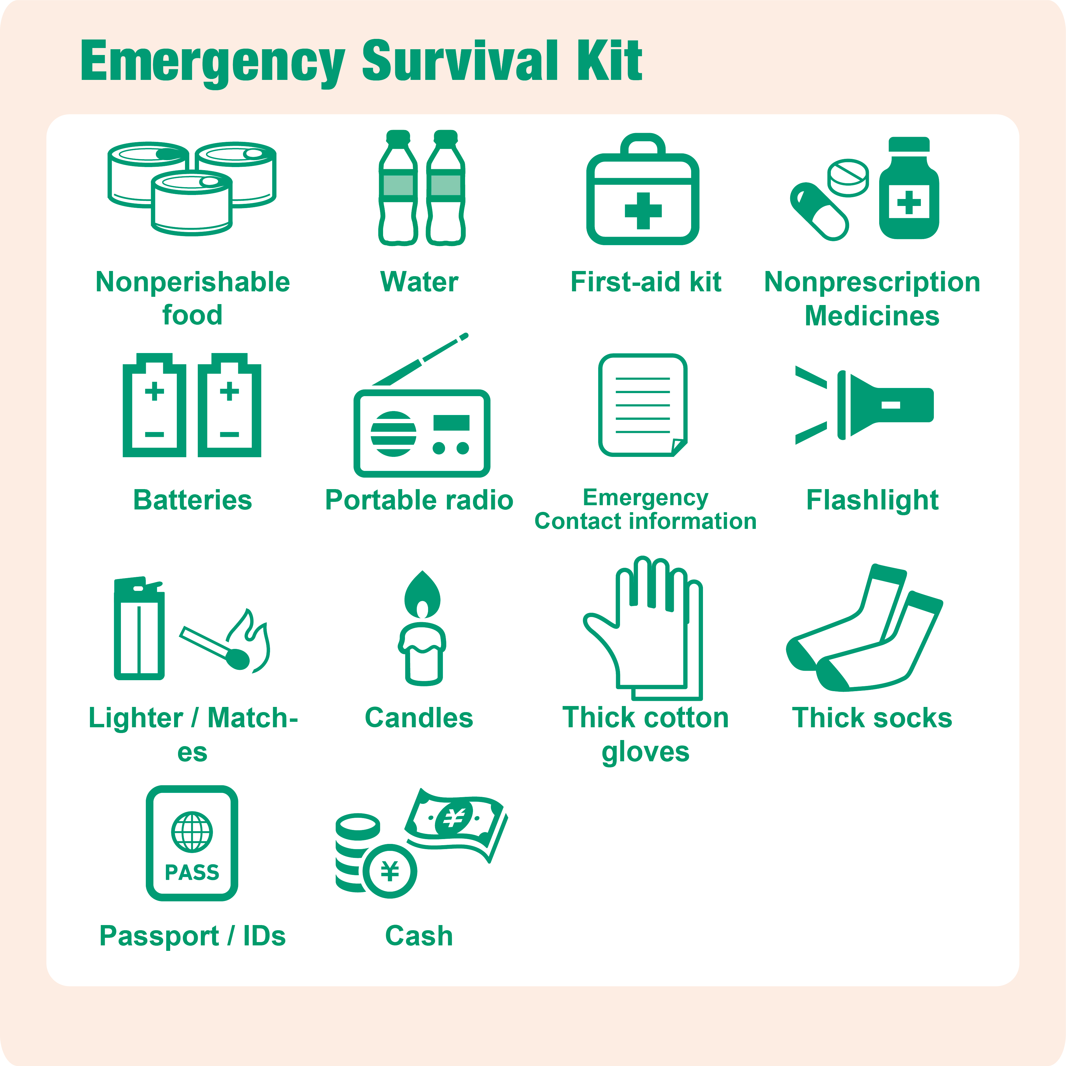 Earthquake Kit Checklist 8180