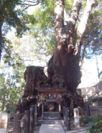 Kinoyama Shrine