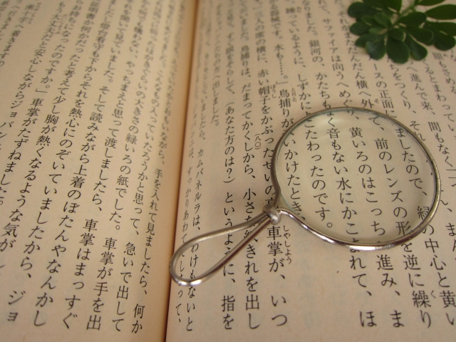 The Japanese Language