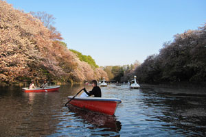 Photo_KichijojiPark