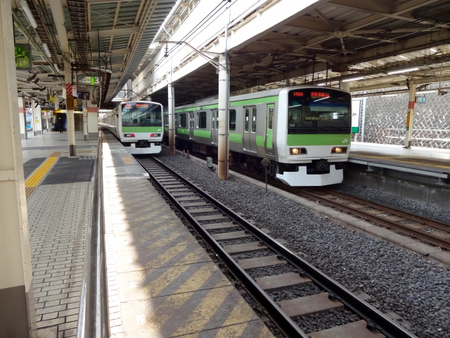 Rail Travel (Yamanote Line)