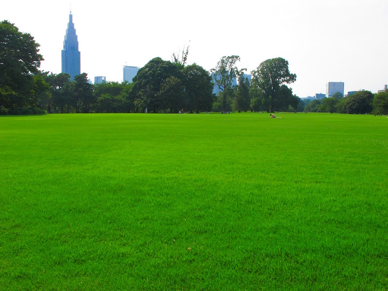 Shinjuku Gyoen National Garden