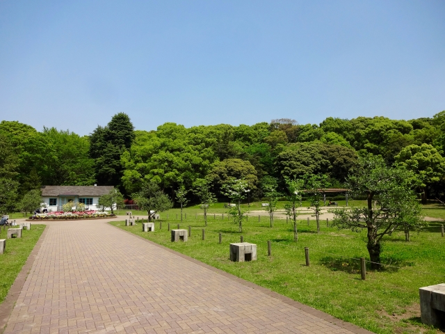 Yoyogi Park