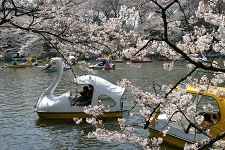 Inokashira Park