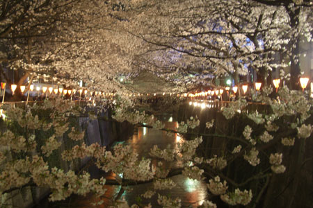 Meguro River