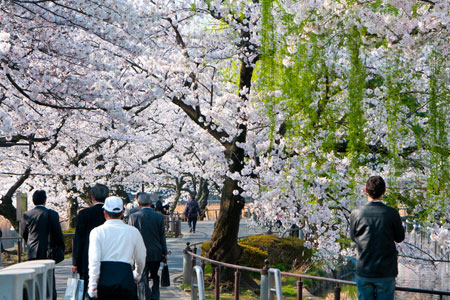 Ueno Park