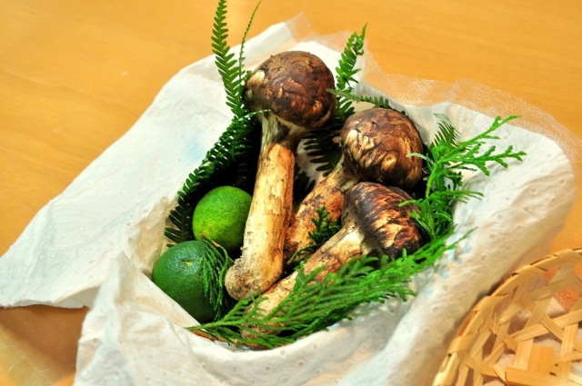 Matsutake Mushrooms