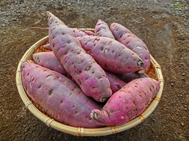 Satsumaimo (Sweet Potato)